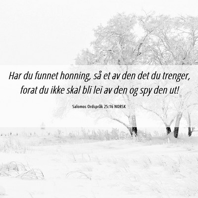 Picture 06 - Salomos Ordspråk 25:16 NORSK - Har du funnet honning, så et av den det du - Bible Verse Picture