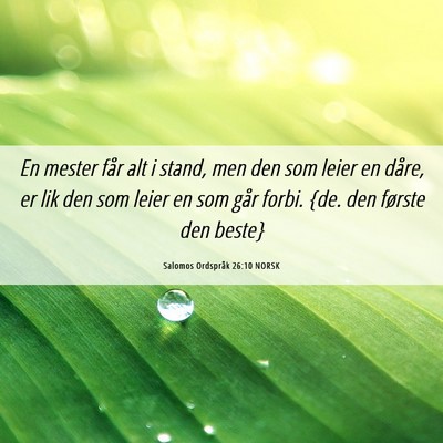 Picture 06 - Salomos Ordspråk 26:10 NORSK - En mester får alt i stand, men den som leier en - Bible Verse Picture