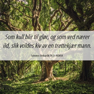 Picture 06 - Salomos Ordspråk 26:21 NORSK - Som kull blir til glør, og som ved nærer ild, - Bible Verse Picture