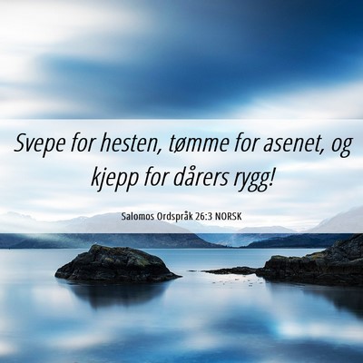 Picture 06 - Salomos Ordspråk 26:3 NORSK - Svepe for hesten, tømme for asenet, og kjepp for - Bible Verse Picture