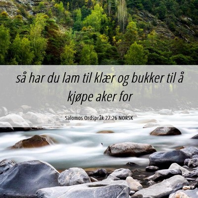 Picture 06 - Salomos Ordspråk 27:26 NORSK - så har du lam til klær og bukker til å kjøpe - Bible Verse Picture