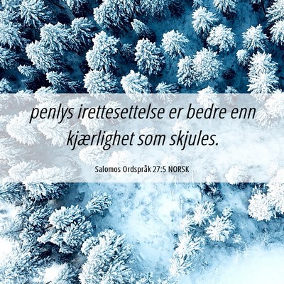 Picture 06 - Salomos Ordspråk 27:5 NORSK - penlys irettesettelse er bedre enn kjærlighet - Bible Verse Picture