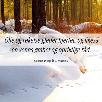 Picture 06 - Salomos Ordspråk 27:9 NORSK - Olje og røkelse gleder hjertet, og likeså en - Bible Verse Picture
