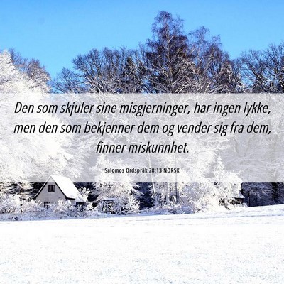 Picture 06 - Salomos Ordspråk 28:13 NORSK - Den som skjuler sine misgjerninger, har ingen - Bible Verse Picture