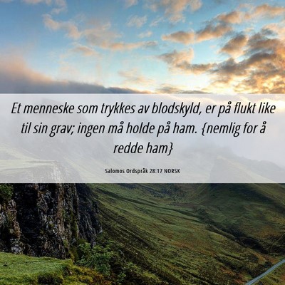 Picture 06 - Salomos Ordspråk 28:17 NORSK - Et menneske som trykkes av blodskyld, er på - Bible Verse Picture