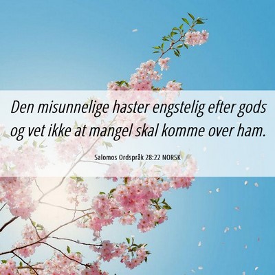 Picture 06 - Salomos Ordspråk 28:22 NORSK - Den misunnelige haster engstelig efter gods og - Bible Verse Picture