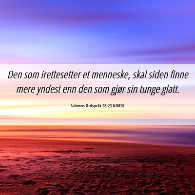 Picture 06 - Salomos Ordspråk 28:23 NORSK - Den som irettesetter et menneske, skal siden - Bible Verse Picture