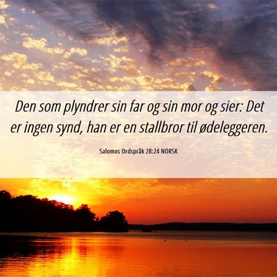 Picture 06 - Salomos Ordspråk 28:24 NORSK - Den som plyndrer sin far og sin mor og sier: Det - Bible Verse Picture