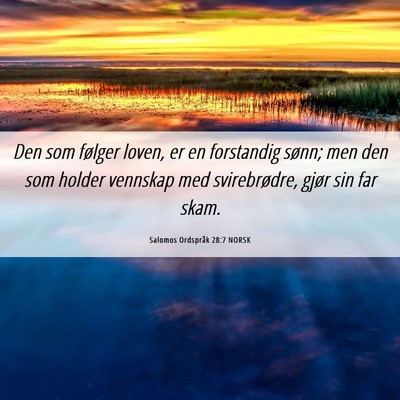 Picture 06 - Salomos Ordspråk 28:7 NORSK - Den som følger loven, er en forstandig sønn; - Bible Verse Picture