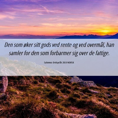 Picture 06 - Salomos Ordspråk 28:8 NORSK - Den som øker sitt gods ved rente og ved - Bible Verse Picture