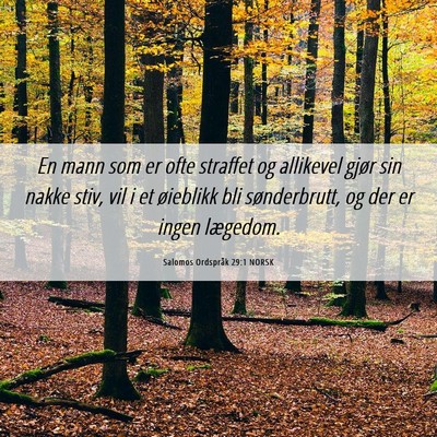 Picture 06 - Salomos Ordspråk 29:1 NORSK - En mann som er ofte straffet og allikevel gjør - Bible Verse Picture