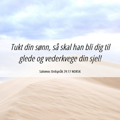 Picture 06 - Salomos Ordspråk 29:17 NORSK - Tukt din sønn, så skal han bli dig til glede og - Bible Verse Picture