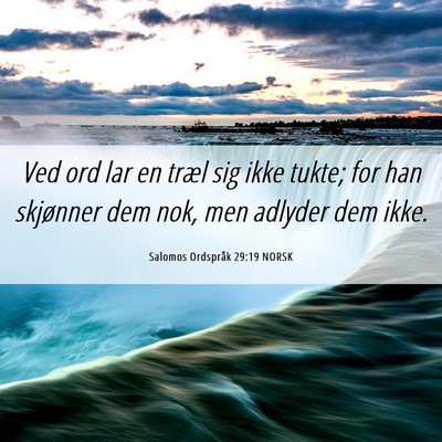 Picture 06 - Salomos Ordspråk 29:19 NORSK - Ved ord lar en træl sig ikke tukte; for han - Bible Verse Picture