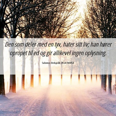 Picture 06 - Salomos Ordspråk 29:24 NORSK - Den som deler med en tyv, hater sitt liv; han - Bible Verse Picture