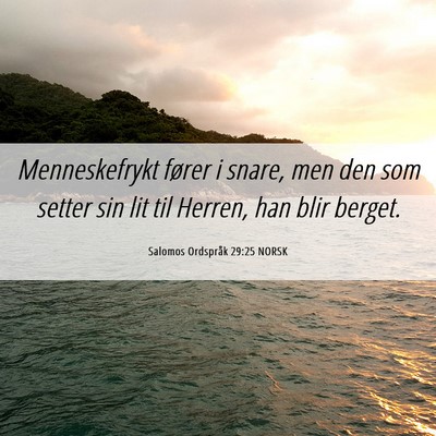 Picture 06 - Salomos Ordspråk 29:25 NORSK - Menneskefrykt fører i snare, men den som setter - Bible Verse Picture