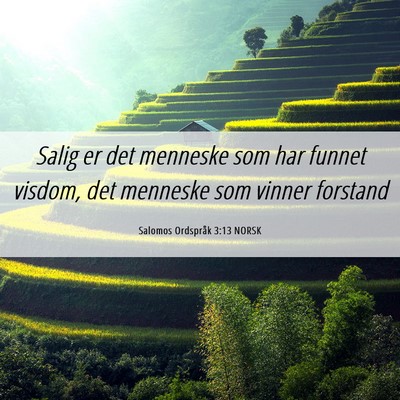 Picture 06 - Salomos Ordspråk 3:13 NORSK - Salig er det menneske som har funnet visdom, det - Bible Verse Picture