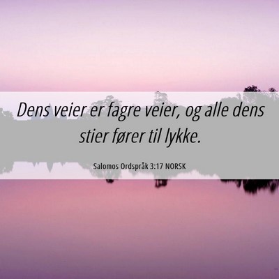 Picture 06 - Salomos Ordspråk 3:17 NORSK - Dens veier er fagre veier, og alle dens stier - Bible Verse Picture