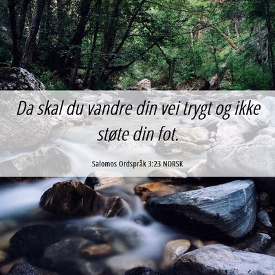 Picture 06 - Salomos Ordspråk 3:23 NORSK - Da skal du vandre din vei trygt og ikke støte - Bible Verse Picture