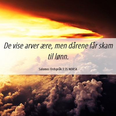 Picture 06 - Salomos Ordspråk 3:35 NORSK - De vise arver ære, men dårene får skam til - Bible Verse Picture