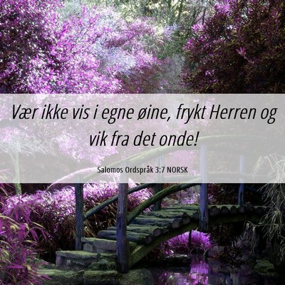 Picture 06 - Salomos Ordspråk 3:7 NORSK - Vær ikke vis i egne øine, frykt Herren og vik - Bible Verse Picture