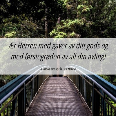 Picture 06 - Salomos Ordspråk 3:9 NORSK - Ær Herren med gaver av ditt gods og med - Bible Verse Picture