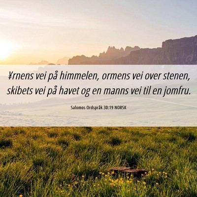 Picture 06 - Salomos Ordspråk 30:19 NORSK - ¥rnens vei på himmelen, ormens vei over stenen, - Bible Verse Picture