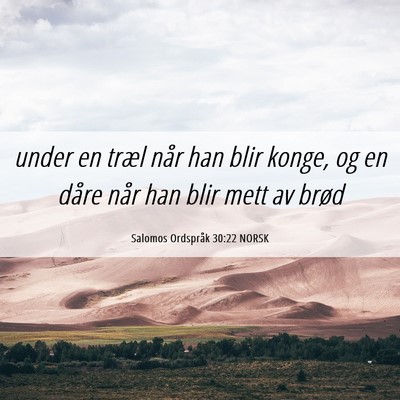 Picture 06 - Salomos Ordspråk 30:22 NORSK - under en træl når han blir konge, og en dåre - Bible Verse Picture