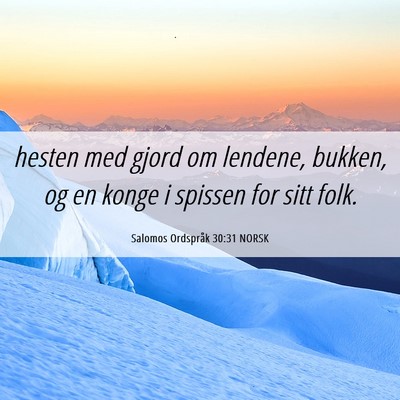 Picture 06 - Salomos Ordspråk 30:31 NORSK - hesten med gjord om lendene, bukken, og en konge - Bible Verse Picture