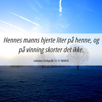 Picture 06 - Salomos Ordspråk 31:11 NORSK - Hennes manns hjerte liter på henne, og på - Bible Verse Picture