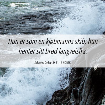 Picture 06 - Salomos Ordspråk 31:14 NORSK - Hun er som en kjøbmanns skib; hun henter sitt - Bible Verse Picture