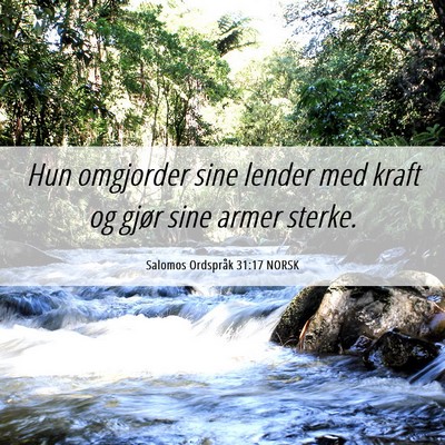 Picture 06 - Salomos Ordspråk 31:17 NORSK - Hun omgjorder sine lender med kraft og gjør sine - Bible Verse Picture