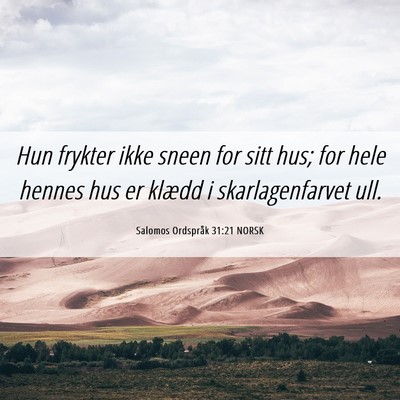 Picture 06 - Salomos Ordspråk 31:21 NORSK - Hun frykter ikke sneen for sitt hus; for hele - Bible Verse Picture