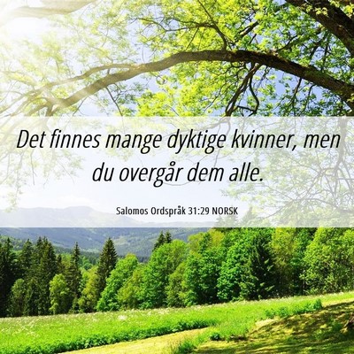Picture 06 - Salomos Ordspråk 31:29 NORSK - Det finnes mange dyktige kvinner, men du overgår - Bible Verse Picture
