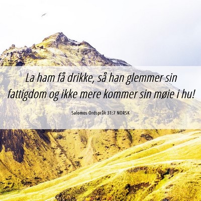 Picture 06 - Salomos Ordspråk 31:7 NORSK - La ham få drikke, så han glemmer sin fattigdom - Bible Verse Picture