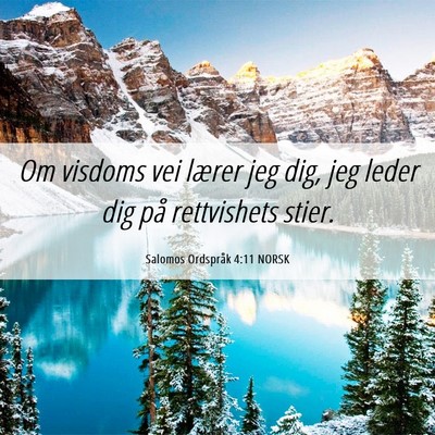 Picture 06 - Salomos Ordspråk 4:11 NORSK - Om visdoms vei lærer jeg dig, jeg leder dig på - Bible Verse Picture