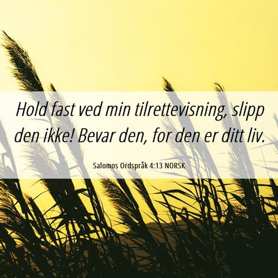 Picture 06 - Salomos Ordspråk 4:13 NORSK - Hold fast ved min tilrettevisning, slipp den - Bible Verse Picture
