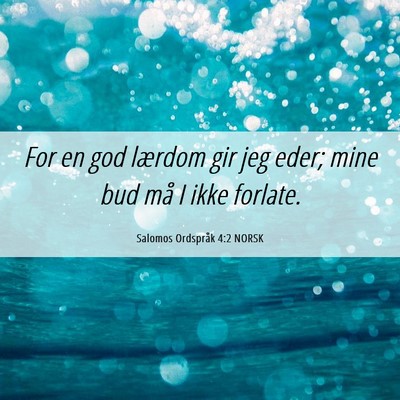 Picture 06 - Salomos Ordspråk 4:2 NORSK - For en god lærdom gir jeg eder; mine bud må I - Bible Verse Picture