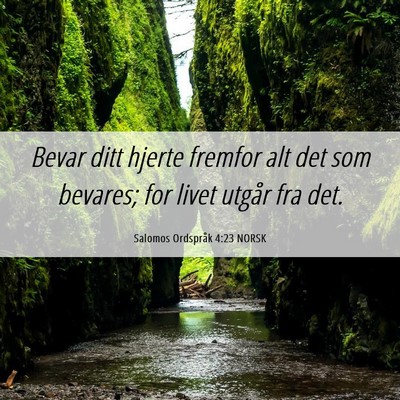 Picture 06 - Salomos Ordspråk 4:23 NORSK - Bevar ditt hjerte fremfor alt det som bevares; - Bible Verse Picture