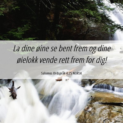 Picture 06 - Salomos Ordspråk 4:25 NORSK - La dine øine se bent frem og dine øielokk vende - Bible Verse Picture