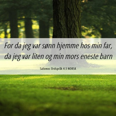 Picture 06 - Salomos Ordspråk 4:3 NORSK - For da jeg var sønn hjemme hos min far, da jeg - Bible Verse Picture