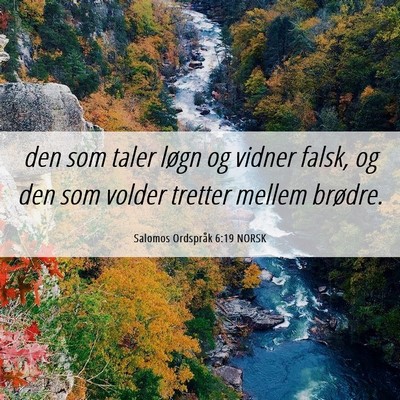 Picture 06 - Salomos Ordspråk 6:19 NORSK - den som taler løgn og vidner falsk, og den som - Bible Verse Picture
