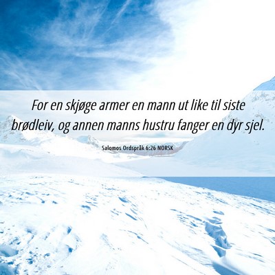 Picture 06 - Salomos Ordspråk 6:26 NORSK - For en skjøge armer en mann ut like til siste - Bible Verse Picture
