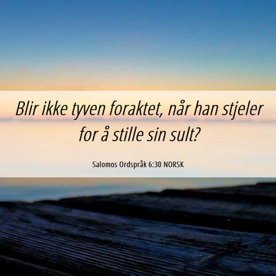 Picture 06 - Salomos Ordspråk 6:30 NORSK - Blir ikke tyven foraktet, når han stjeler for å - Bible Verse Picture