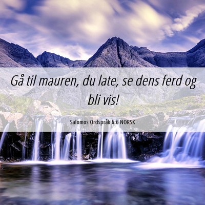 Picture 06 - Salomos Ordspråk 6:6 NORSK - Gå til mauren, du late, se dens ferd og bli - Bible Verse Picture