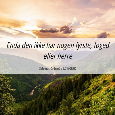 Picture 06 - Salomos Ordspråk 6:7 NORSK - Enda den ikke har nogen fyrste, foged eller - Bible Verse Picture