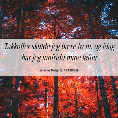 Picture 06 - Salomos Ordspråk 7:14 NORSK - Takkoffer skulde jeg bære frem, og idag har jeg - Bible Verse Picture