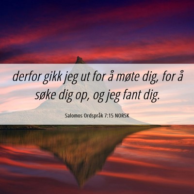 Picture 06 - Salomos Ordspråk 7:15 NORSK - derfor gikk jeg ut for å møte dig, for å søke - Bible Verse Picture