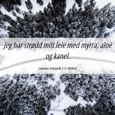 Picture 06 - Salomos Ordspråk 7:17 NORSK - Jeg har strødd mitt leie med myrra, aloè og - Bible Verse Picture