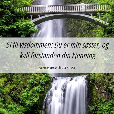 Picture 06 - Salomos Ordspråk 7:4 NORSK - Si til visdommen: Du er min søster, og kall - Bible Verse Picture