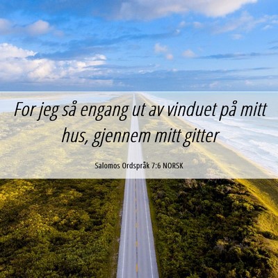 Picture 06 - Salomos Ordspråk 7:6 NORSK - For jeg så engang ut av vinduet på mitt hus, - Bible Verse Picture